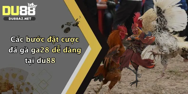 Đá Gà GA28: Sân Chơi Đỉnh Cao Tại Nhà Cái Du88, Cược Nhanh Thưởng Lớn 2 Các bước đặt cược đá gà ga28 dễ dàng tại du88
