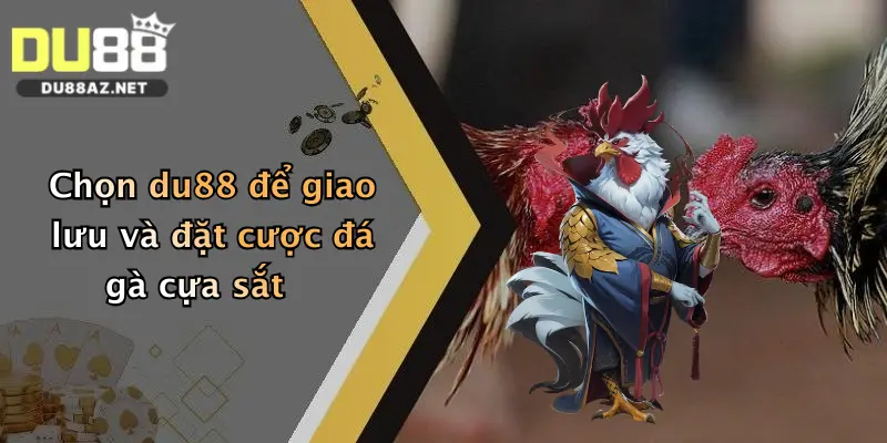 Đá Gà Cựa Sắt: Trải Nghiệm So Tài Đỉnh Cao Tại Du88 Cực Hấp Dẫn 3 Chọn du88 để giao lưu và đặt cược đá gà cựa sắt