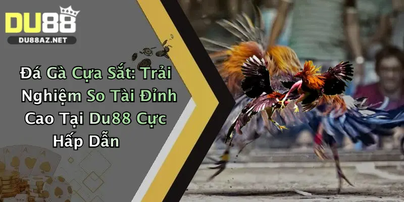 Đá Gà Cựa Sắt: Trải Nghiệm So Tài Đỉnh Cao Tại Du88 Cực Hấp Dẫn 4 Đá Gà Cựa Sắt: Trải Nghiệm So Tài Đỉnh Cao Tại Du88 Cực Hấp Dẫn