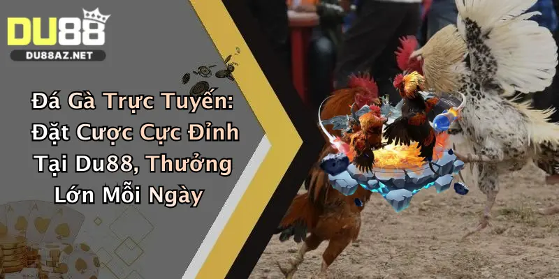 Đá Gà Trực Tuyến: Đặt Cược Cực Đỉnh Tại Du88, Thưởng Lớn Mỗi Ngày 1 Đá Gà Trực Tuyến: Đặt Cược Cực Đỉnh Tại Du88, Thưởng Lớn Mỗi Ngày