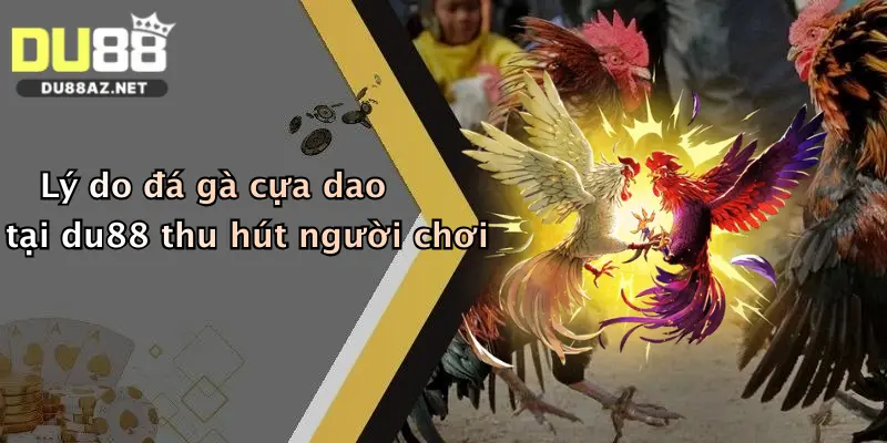 Đá Gà Cựa Dao: Thách Thức Đỉnh Cao, Chơi Ngay Tại Du88 Nhận Thưởng Lớn 1 Lý do đá gà cựa dao tại du88 thu hút người chơi