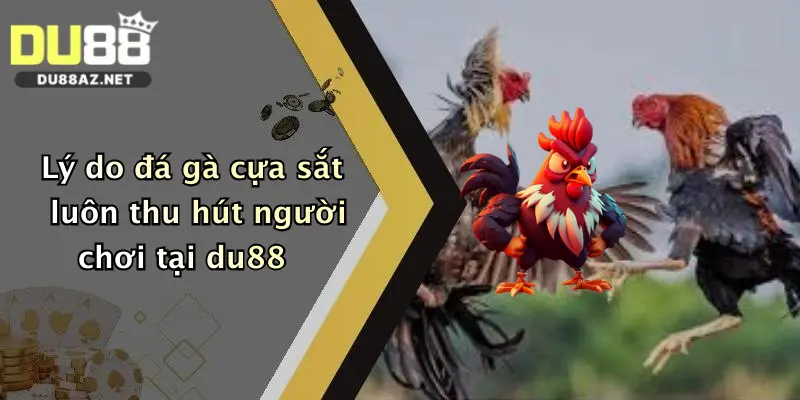 Đá Gà Cựa Sắt: Trải Nghiệm So Tài Đỉnh Cao Tại Du88 Cực Hấp Dẫn 1 Lý do đá gà cựa sắt luôn thu hút người chơi tại du88