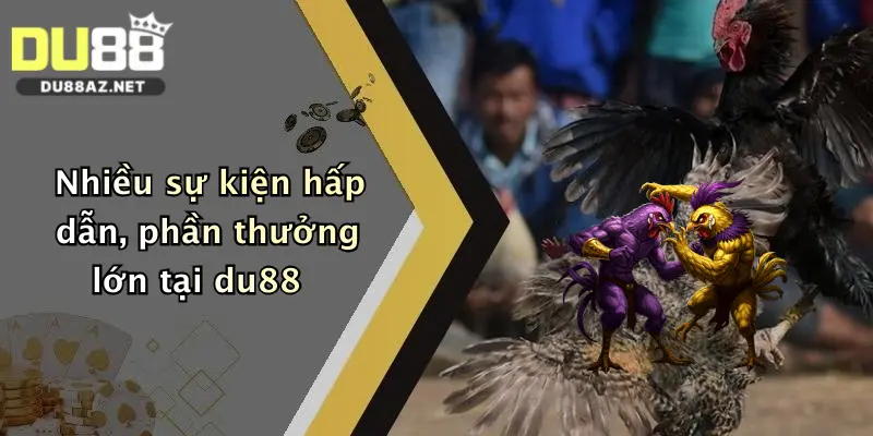 Đá Gà Trực Tuyến: Đặt Cược Cực Đỉnh Tại Du88, Thưởng Lớn Mỗi Ngày 2 Nhiều sự kiện hấp dẫn, phần thưởng lớn tại du88