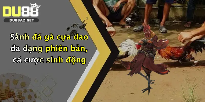 Đá Gà Cựa Dao: Thách Thức Đỉnh Cao, Chơi Ngay Tại Du88 Nhận Thưởng Lớn 2 Sảnh đá gà cựa dao đa dạng phiên bản, cá cược sinh động